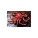 Sell Chilean King Crab (Chile) thumbnail-1