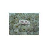 Vietnam White, Pink & Cat Tiger Shrimps thumbnail-1