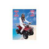 Sell ATV (EPA, Dot & EEC Approved) thumbnail-1