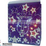 Lighting Up Vest Usages Free Pattern Hand Bags in a Shiny Way thumbnail-5