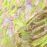 China Factory Nigeria Green Flower Embroidered Mesh Lace Fabric for Women thumbnail-4