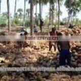 Wholesale Desiccated Coconut in India thumbnail-1