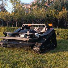 Cordless Grass Trimmer for Sale thumbnail-3