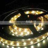 Eproxy Coat + PE Cannula / Waterproof 300pcs 3528 SMD flexible led strip