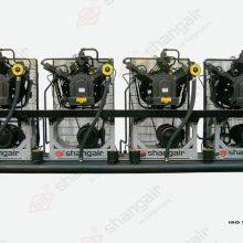 20/30Bar High Pressure Screw Air Compressor For PET Blowing Stable Air Pressure.Efficient and Energy-saving. thumbnail-3