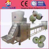 Conveyor Type Fresh Onion Roots and Stem Cutting Machine/tail Cutting Machine thumbnail-2