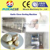 Fast delivery within 6 days garlic clove sorting and made in china grading garlic by size machine price