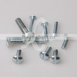 3/16,1/4 African model roofing bolt with hex nut