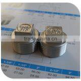 BSP S/steel Square Head Plug