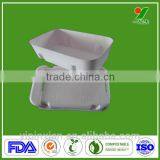 Dongguan 100% Biodegradable Packaging Paper Cellphone Trays Blister thumbnail-1