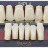 CE Approved Synthetic Polymer Teeth thumbnail-2