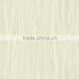 NANO Finish Porcelain Floor Tiles 600x600 Soluble Salt thumbnail-4