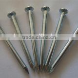 competitive price wire nail and concrete steel nail