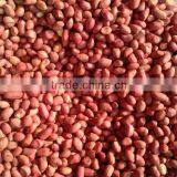 Red Skin Peanuts SILIHONG thumbnail-1