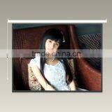 VICTORY Matte White Screen (including AOK RF Remote Control)