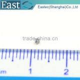Stainless Steel Slotted Micro Watch Screw Glasses Screw M0.6