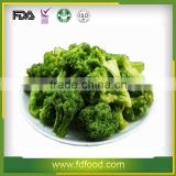 Cheap Price Freeze Dried Fruits and Vegetables Natural Freeze Dried Broccoli