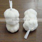Supply New Crop2016 Fresh China Garlic Size From 4.5cm To6.0cm thumbnail-2