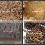 Cheap Vietnam Cassia Cinnamon Manufactures in China