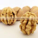 Best Products on Shaanxi Walnut Kernel Wholesale thumbnail-1