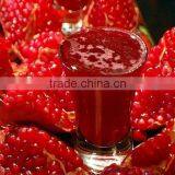 Pomegranate Processing Machine, Pomegranate Juicer