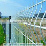 Diversity of Color & Size Pvc Welded Wire Mesh Panel
