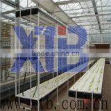 High Tech Hydroponic Greenhouse for Sale thumbnail-1