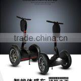 Leadway 6 LED Lights The Tire 19 Folding Electric Bike 0ff Road( W8+ 60) thumbnail-5