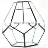 Stretched Dodecahedron 3 Sizes Geometric Fruit Glass Terrarium thumbnail-4