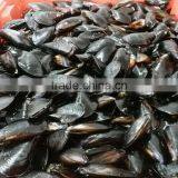 Hot Sale Frozen Cooked Mussels in Full Shell thumbnail-3