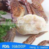 HL003 Healthy Seafood Crab Meat With Reasonable Price thumbnail-4