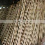 Raw Rattan Cane, Rattan, Cane, Rattan Meterial, Raw Material, Rattah Raw Mateiral, Rattan Cane thumbnail-6
