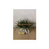 Artificial Grass,top Grass,130070 thumbnail-3