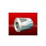 Galvanized Steel Coils
