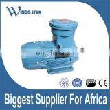 YB2 Series Explosion Proof Marine Electric Motor thumbnail-4