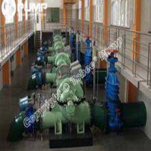 Tobee TSH350 Horizontal Split Case Pump thumbnail-1