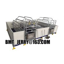 Hot dip galvanized customized size Sow farrowing cage for swine farm