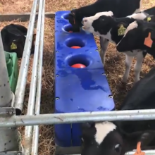 FEELFREE 2.2m Water Trough for Cattle and Sheep Drinking thumbnail-3