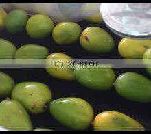 Fruit and Vegetable Cleaning, Waxing, Drying and Grading Production Line thumbnail-5