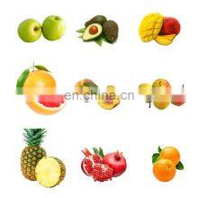 Automatic Apple Orange Peach Tomato Avocado Potato Grading Fruit Sorting Machine thumbnail-2