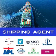Sea Freight Service