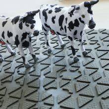 Cow Hoof thumbnail-2