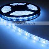 12V 300led SMD 5630 Flexible LED Light White Pcb Tape IP65 Led Strip