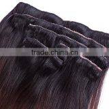 Ombre Colored Lace Full Head Russian Brazilian Indian Remy Human Clip in Hair Extensions thumbnail-6