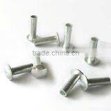 Hot Sale Aluminum Hollow Rivets