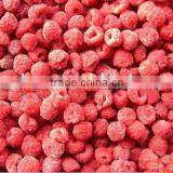 Frozen Dried Red Raspberry Fruit