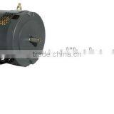 Electric vehicle motors