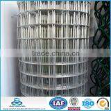 Hot Dipped Galvanized Welded Wire Mesh Roll