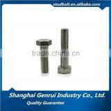 Hot Sale China Supply Grade 4.8 Bolt 8mm Hex Head Bolts