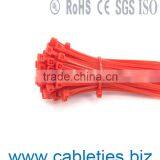 2.5*60mm Nylon Self-locking Cable Ties thumbnail-6